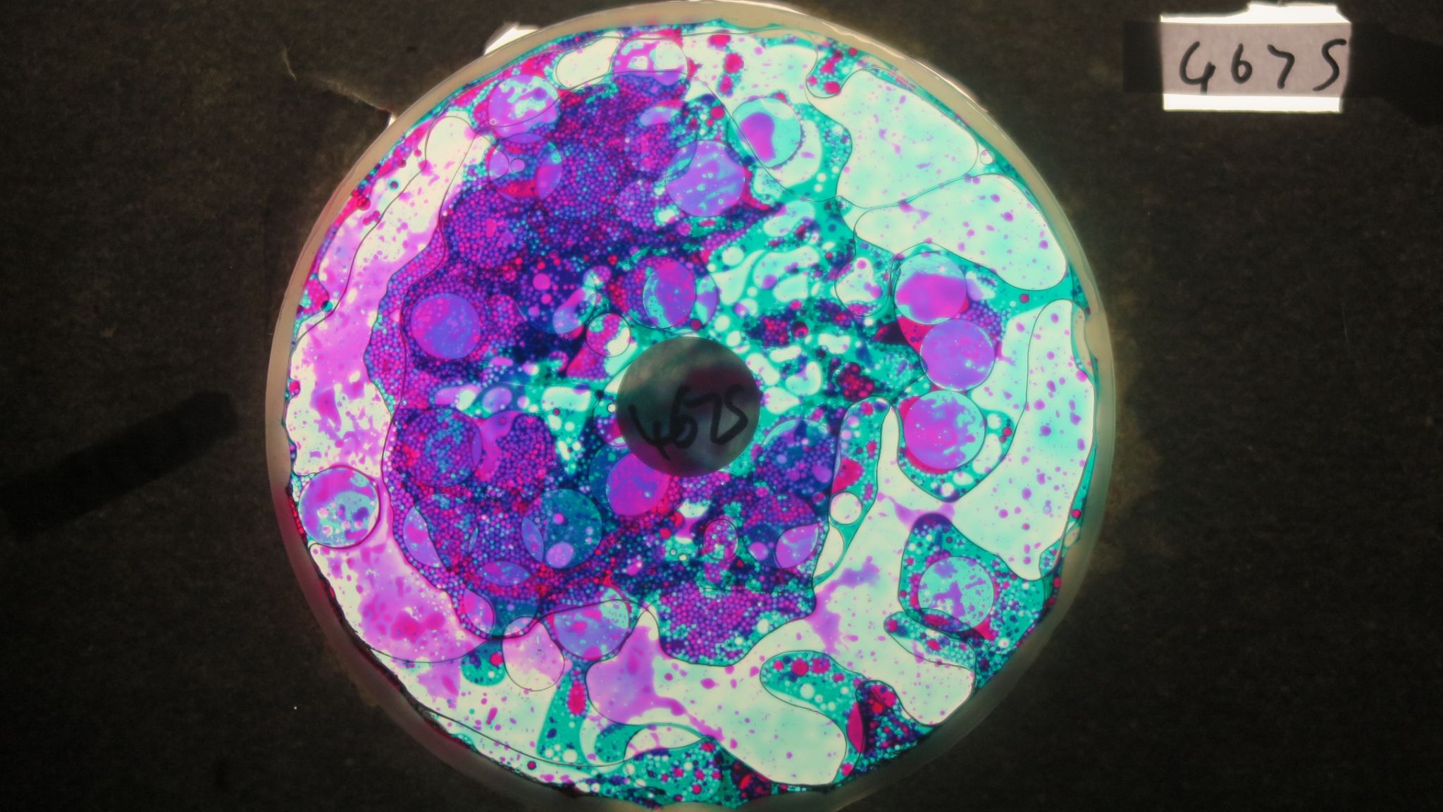 BV4675 bubble vision oil wheel